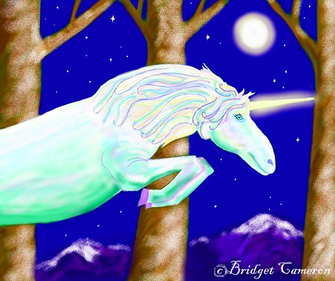 Shimmer Unicorn