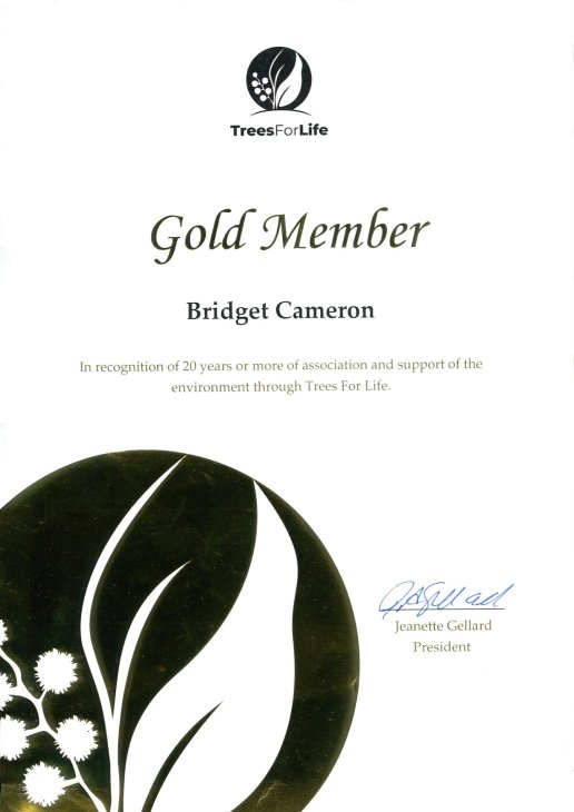 gold member certificate